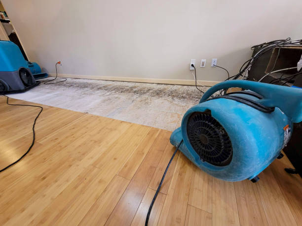 Professional Water Removal technician working in Wayne, PA
